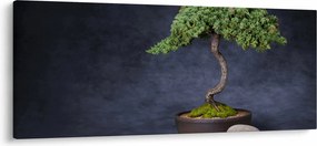 Tablou - Bonsai (120x50 cm)