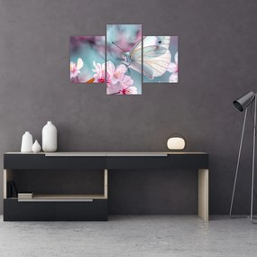 Tablou - Fluture pe un cireș (90x60 cm)