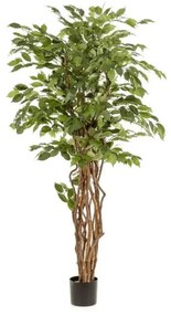Ficus artificial Liana - 170 cm