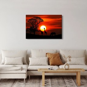 Tablou - Siluete animalelor la apus de soare (90x60 cm)