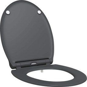 vidaXL Capacul de toaletă Antracit 47 x 37,5 x 3,8 cm Duroplast