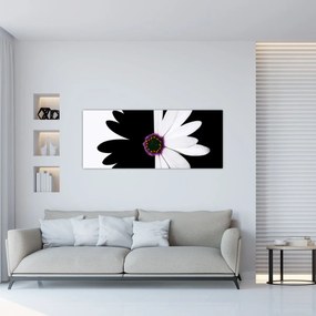 Tablou - Floare, alb- negru (120x50 cm)