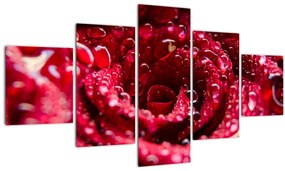 Tablou cu floarea trandafirului roșu (125x70 cm), în 40 de alte dimensiuni noi