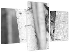 Tablou - Lupul din pădure (90x60 cm)