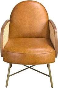 Fotoliu design LUX, Ratan, Piele Naturala 5162