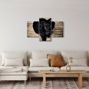 Tablou cu cățeluș negru (90x60 cm)