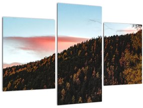 Tablou - Zori de zi (90x60 cm)