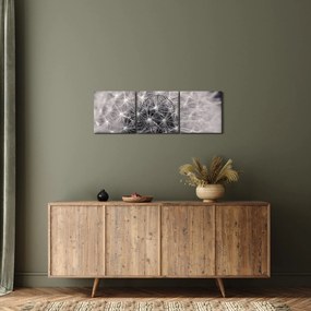 Tablou cu păpădie (cu ceas) (90x30 cm)