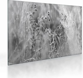 Tablou pe sticlă - Pajiște sălbatică (70x50 cm)