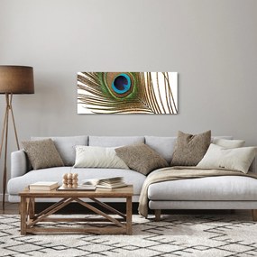 Tablou cu pene de păun (120x50 cm)