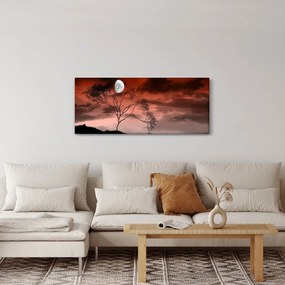 Tablou - Luna luminează noaptea (120x50 cm)