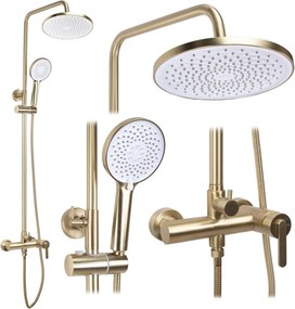 Set dus Rea Ontario Brush Gold