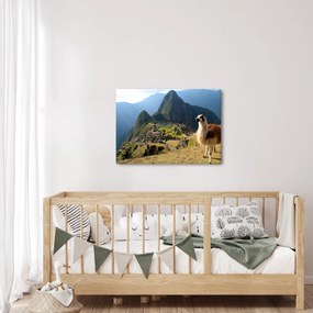 Tablou - Lama și Machu Picchu (70x50 cm)