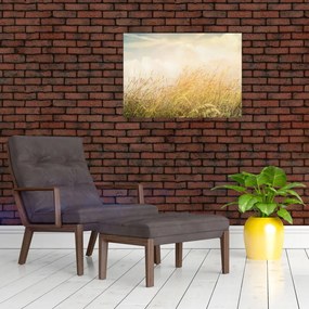 Tablou - Câmp toamna (70x50 cm)