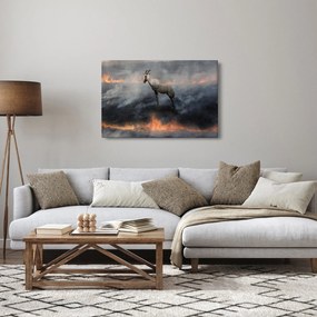 Tablou cu capră de munte în foc (90x60 cm)
