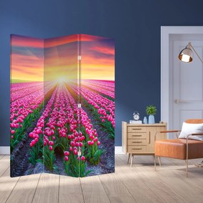 Paravan - Câmp de lalele cu soare (126x170 cm)