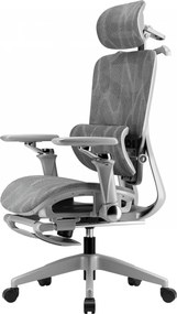 Scaun ergonomic, translatie sezut, cotiere 6D, tetiera 3D, suport lombar reglabil, pivotant, suport pentru picioare, Gri