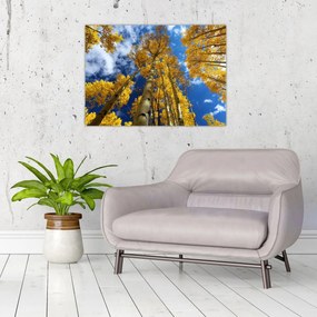 Tablou pe sticlă - Aspen (70x50 cm)