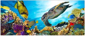 Tablou - Recif de corali (120x50 cm)