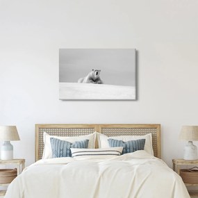 Tablou - Ursul polar (90x60 cm)