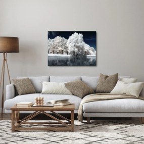 Tablou - Albă ca Zăpada Albă ca Zăpada Copaci (70x50 cm)