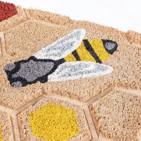 decoDoma Covoraș de intrare din fibră de cocos FAGURE 45 x 75 cm