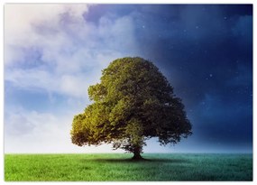 Tablou pe sticlă - Noapte și zi (70x50 cm)