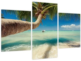 Tablou - Mare curată cu palmier (90x60 cm)