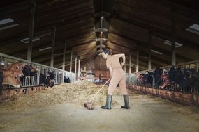 Plafonieră LED industrială Ledvance HIGHBAY LED/130W/230V IP65 6500K