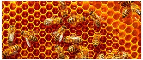 Tablou - Fagure de miere (120x50 cm)