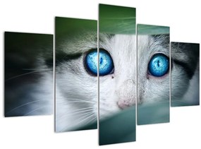 Tablou cu pisica (150x105 cm)