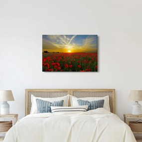 Tablou cu câmp cu maci (90x60 cm)