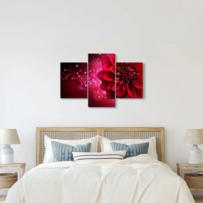 Tablou cu floare roșie (90x60 cm)