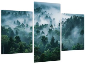 Tablou - Pădure în Ceață (90x60 cm)