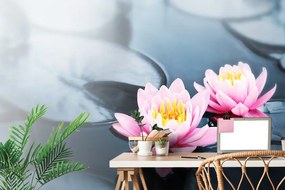 Fototapet floare de lotus în lac