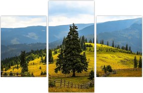 Tablou - Lunca de munte (90x60 cm)