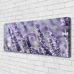 Tablou pe panza canvas Flori Floral violet