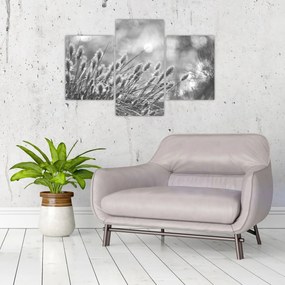 Tablou - Iarbă moale bej N⁰1 (90x60 cm)