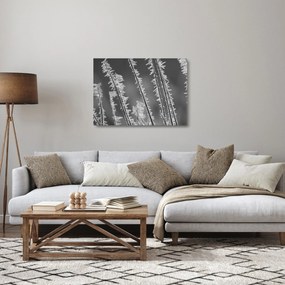 Tablou pe sticlă - Frig de îngheț (70x50 cm)