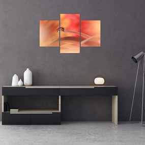 Tablou picăturii de rouă pe floare (90x60 cm)