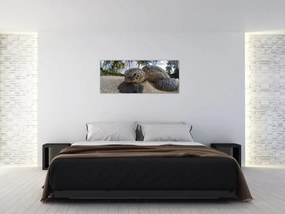 Tablou cu broască țestoasă (120x50 cm)