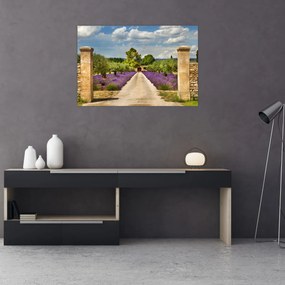 Tablou - Căi de lavandă (90x60 cm)