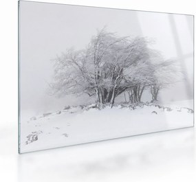 Tablou pe sticlă - Iarnă albă (70x50 cm)