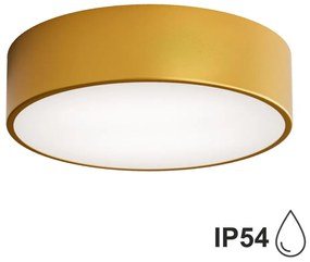 Plafonieră pentru baie Brilagi CLARE 2xE27/24W/230V d. 30 cm IP54 auriu