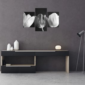 Tablou - Lalele alb negre (90x60 cm)