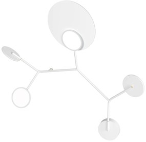 Lampă de perete Ballon 5 C, mai multe variante - TUNTO Model: cadre și parte fixă albe, panou de lemn alb