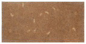 vidaXL Saltea, 100x200 cm, nucă de cocos