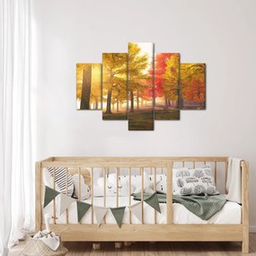 Tablou cu copaci toamna (150x105 cm)
