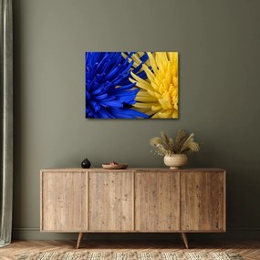Tablou - detaliu florilor (70x50 cm)