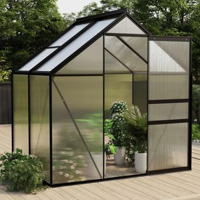 vidaXL Seră, antracit, 2,47 m² aluminiu